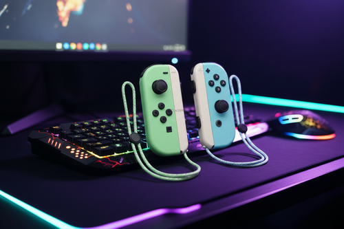 Console Gamepad NS Dual Gamepad With Hand Rope